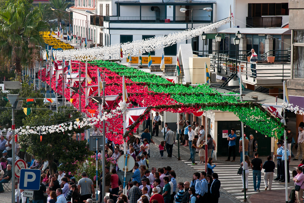 389_Madera_Ribeira Brava.jpg